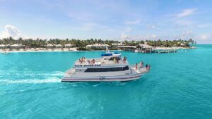 Wide shot of a white catamaran with people sailing under a blue sky with palm trees on the shore in the background